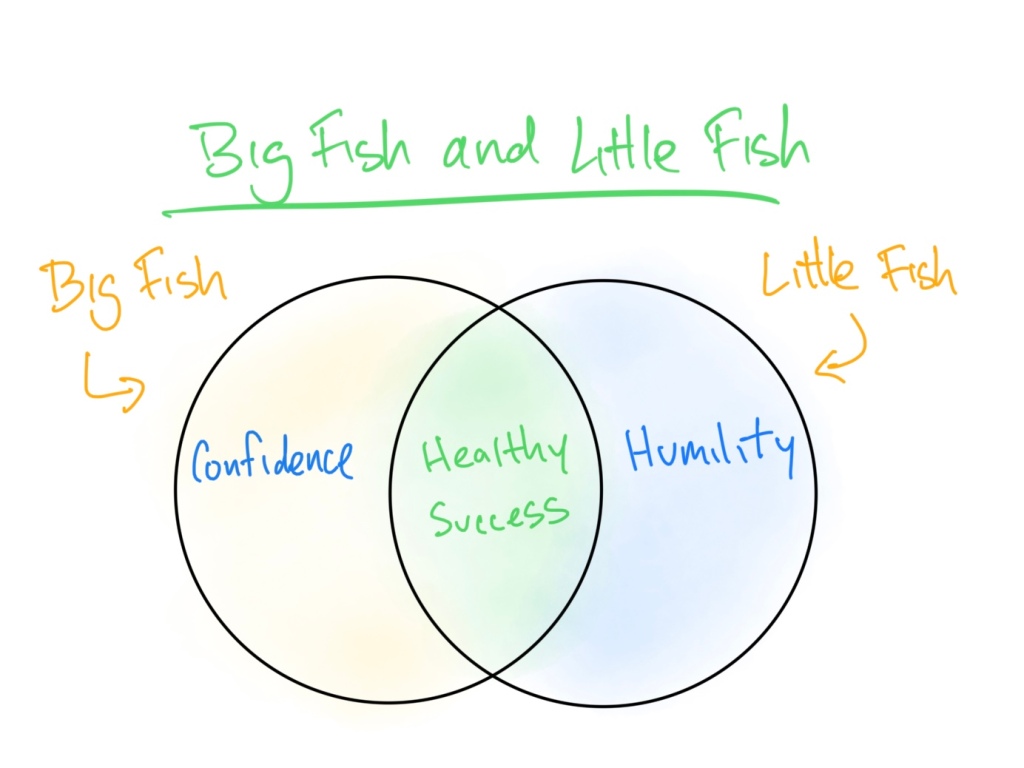 Success: The Paradox of Big Fish, Little Pond